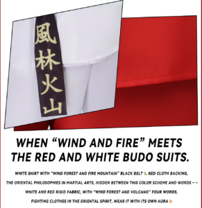 Ryu and Ken Street Fighter Karate Outfit Halloween Cosplay Costume thumbnail 8